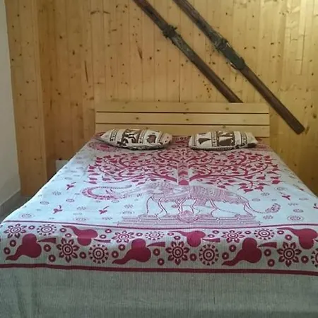 Le Perce Neige * Vaujany